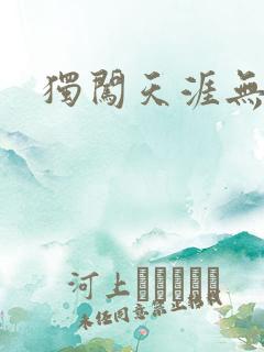 独闯天涯无弹窗