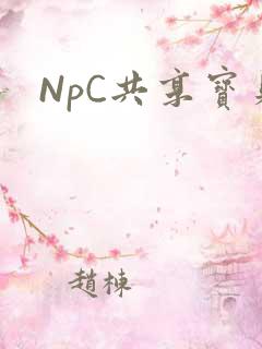 NpC共享宝贝