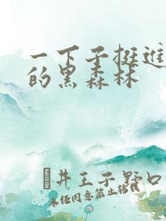 一下子挺进浓密的黑森林