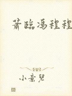 萧临冯程程小说