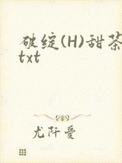 破绽(H)甜茶txt