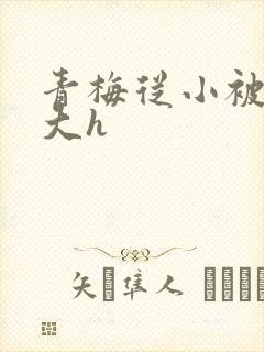 青梅从小被弄到大h