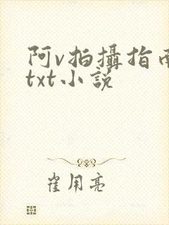 阿v拍摄指南说txt小说