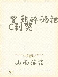 贺朝醉酒把谢俞C到哭