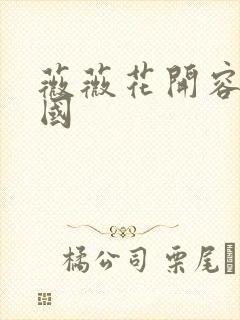 薇薇花开容颜倾国