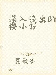 深入浅出BY胖樱小说
