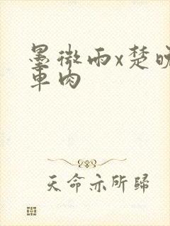 墨微雨x楚晚宁车肉