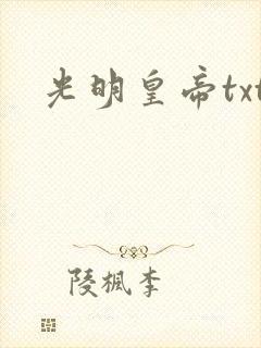光明皇帝txt