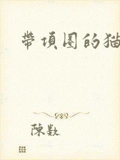 带项圈的猫耳娘