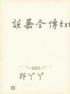 说岳全传txt