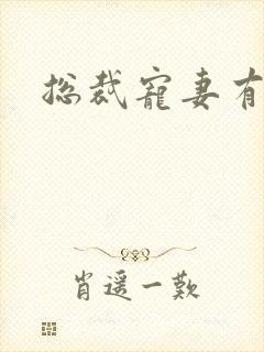 总裁宠妻有点忙