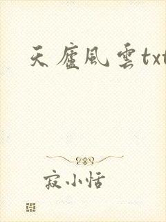 天庐风云txt