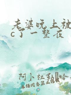 老婆晚上被躁狂c了一整夜