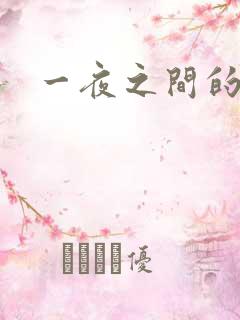 一夜之间的天才