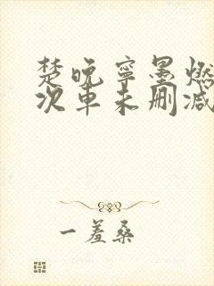 楚晚宁墨燃第一次车未删减