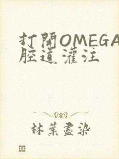 打开OMEGA腔道灌注