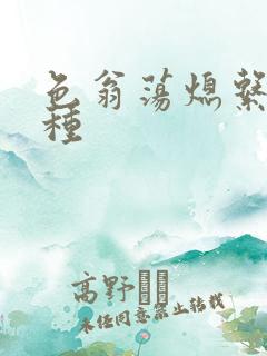 色翁荡熄系列借种