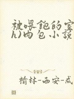 被喂饱的室友(h)肉包小说