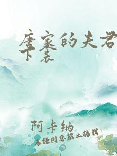 唐家的夫君们帘下衾