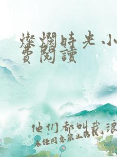 灿烂时光小说免费阅读