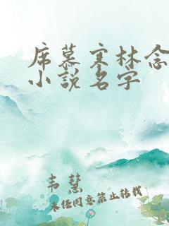 席慕寒林念儿的小说名字