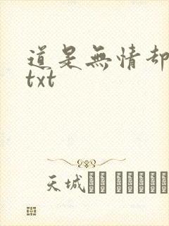 道是无情却有情txt