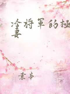 冷将军的极品娇妻