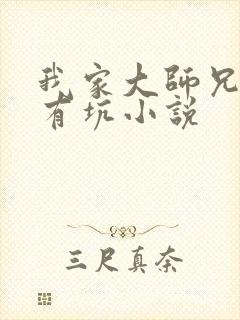 我家大师兄脑子有坑小说