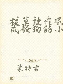 校草被催眠洗脑成骚狗的小说