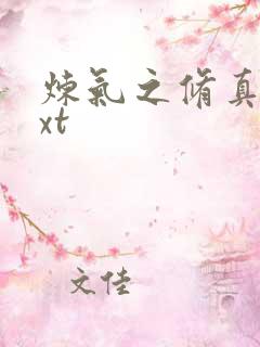 炼气之修真者txt