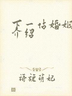 下一站婚姻剧情介绍