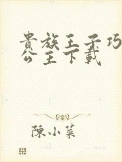 贵族王子巧遇穷公主下载