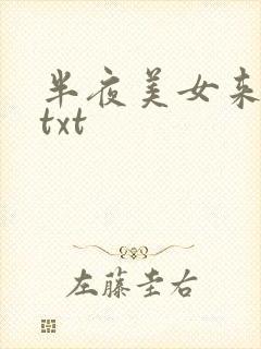 半夜美女来敲门txt