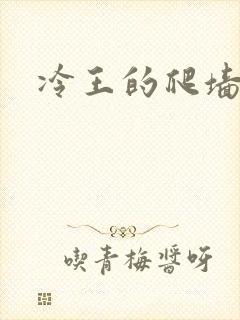 冷王的爬墙丑妃