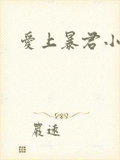 爱上暴君小甜心