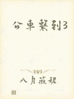 公车系到3