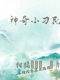 神奇小刁民