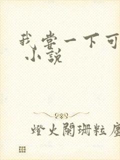 我尝一下可以吗 小说