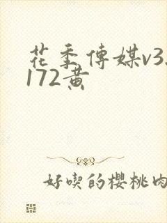 花季传媒v3.172黄