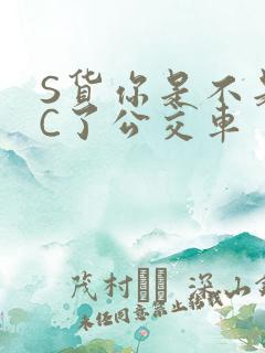 S货你是不是欠C了公交车