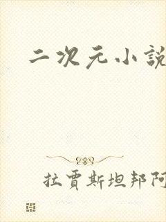 二次元小说网站