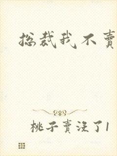 总裁我不卖宝宝