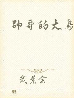 帅哥的大鸟