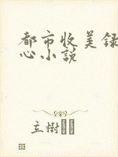 都市收美录宁素心小说
