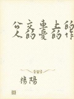 公交车上的陌生人的爱的作文