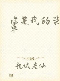 你是我的荣耀肉车