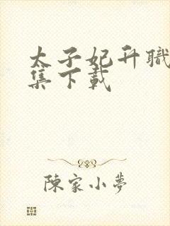 太子妃升职记全集下载