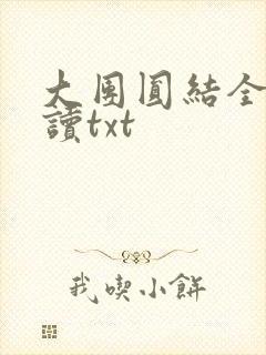 大团圆结全文阅读txt
