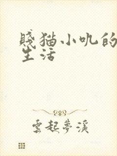 贱猫小叽的幸福生活
