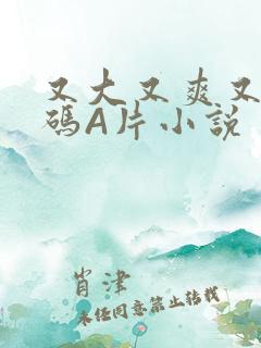 又大又爽又黄无码A片小说